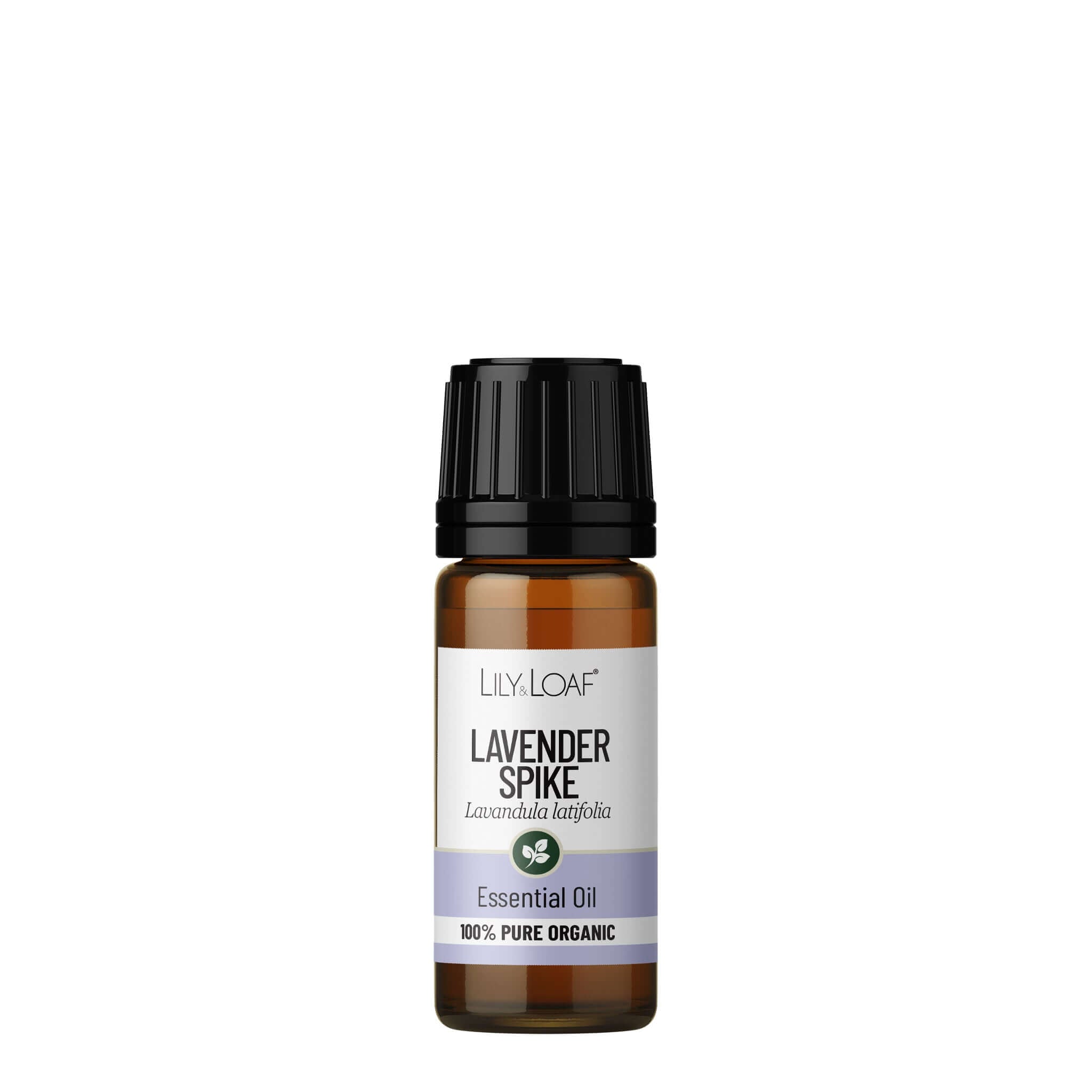 Lavender (Spike) Essential Oil