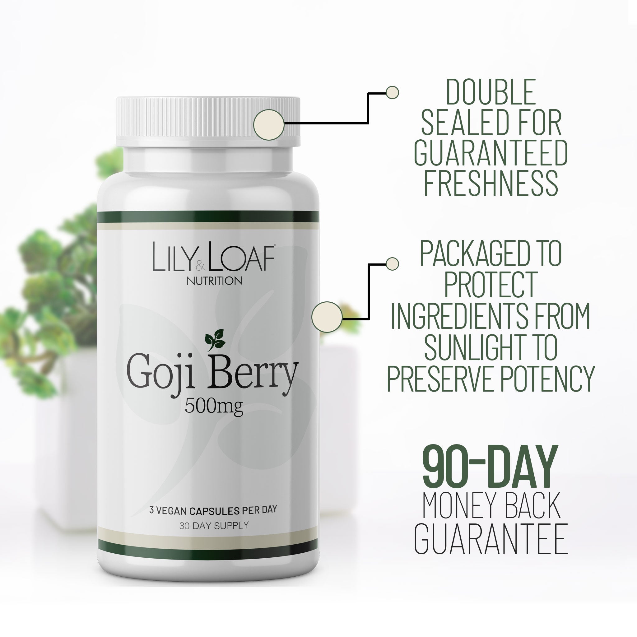 Goji Berry