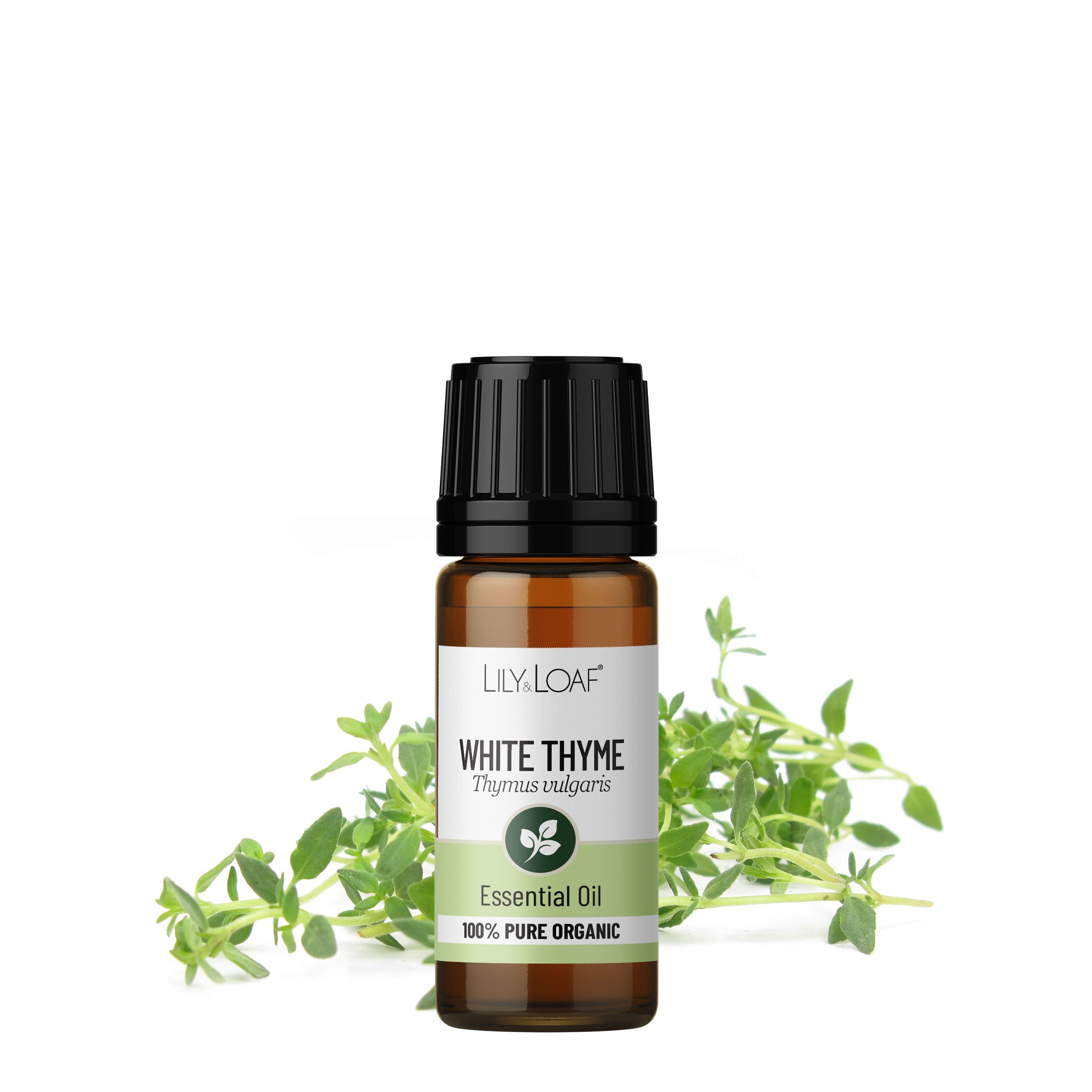 Thyme (White) Organic Essential Oil