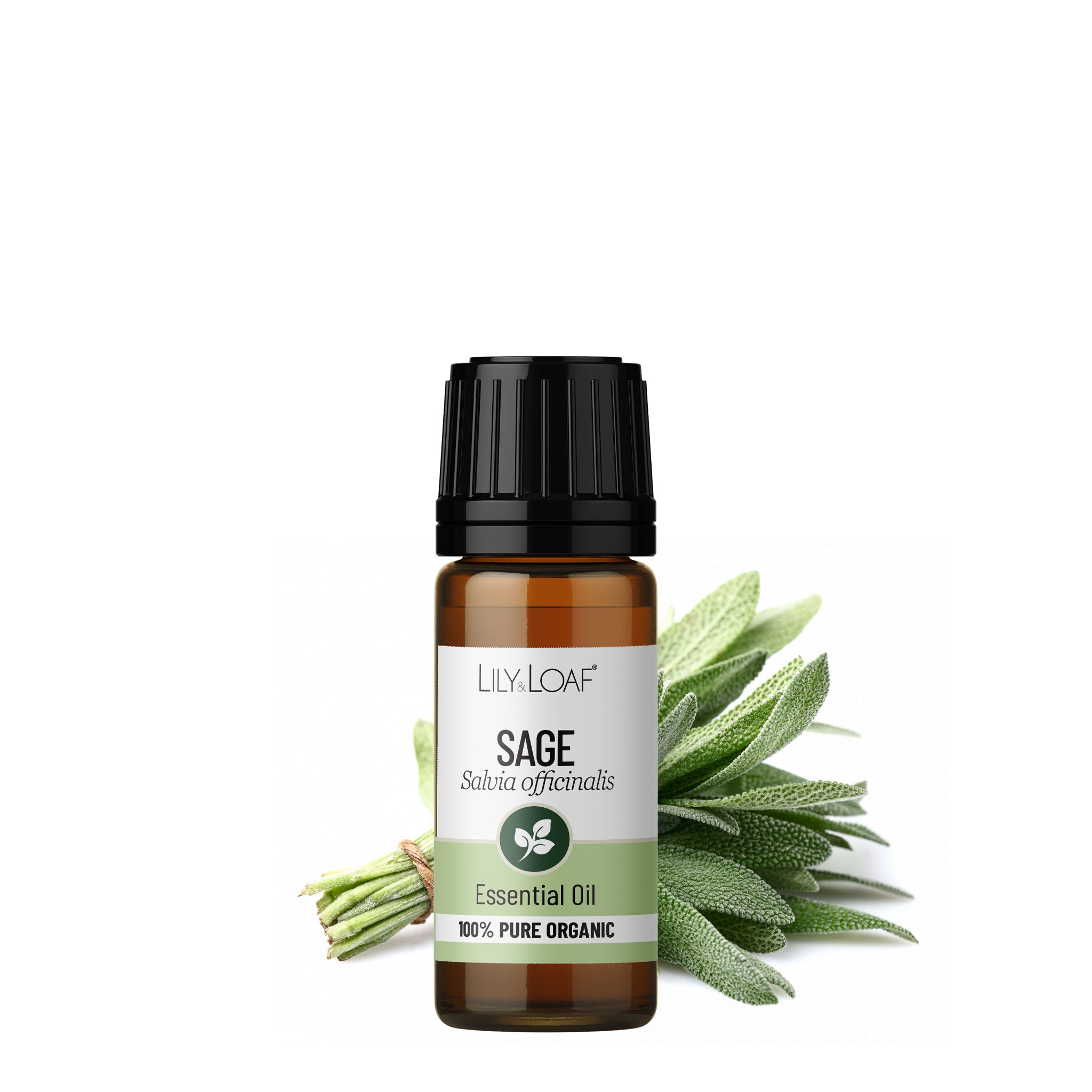 Sage Organic Essential Oil