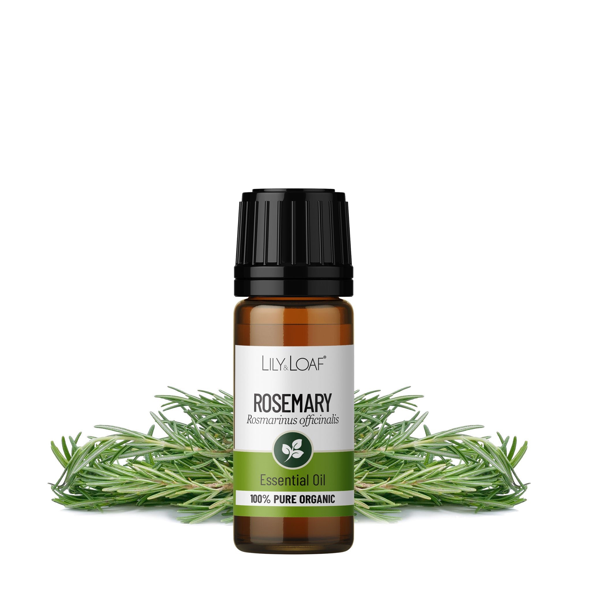 Rosemary Organic Essential Oil