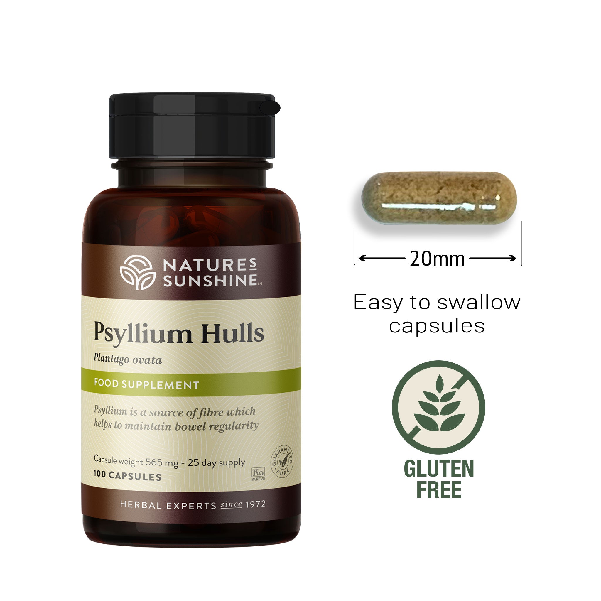 Psyllium Hulls