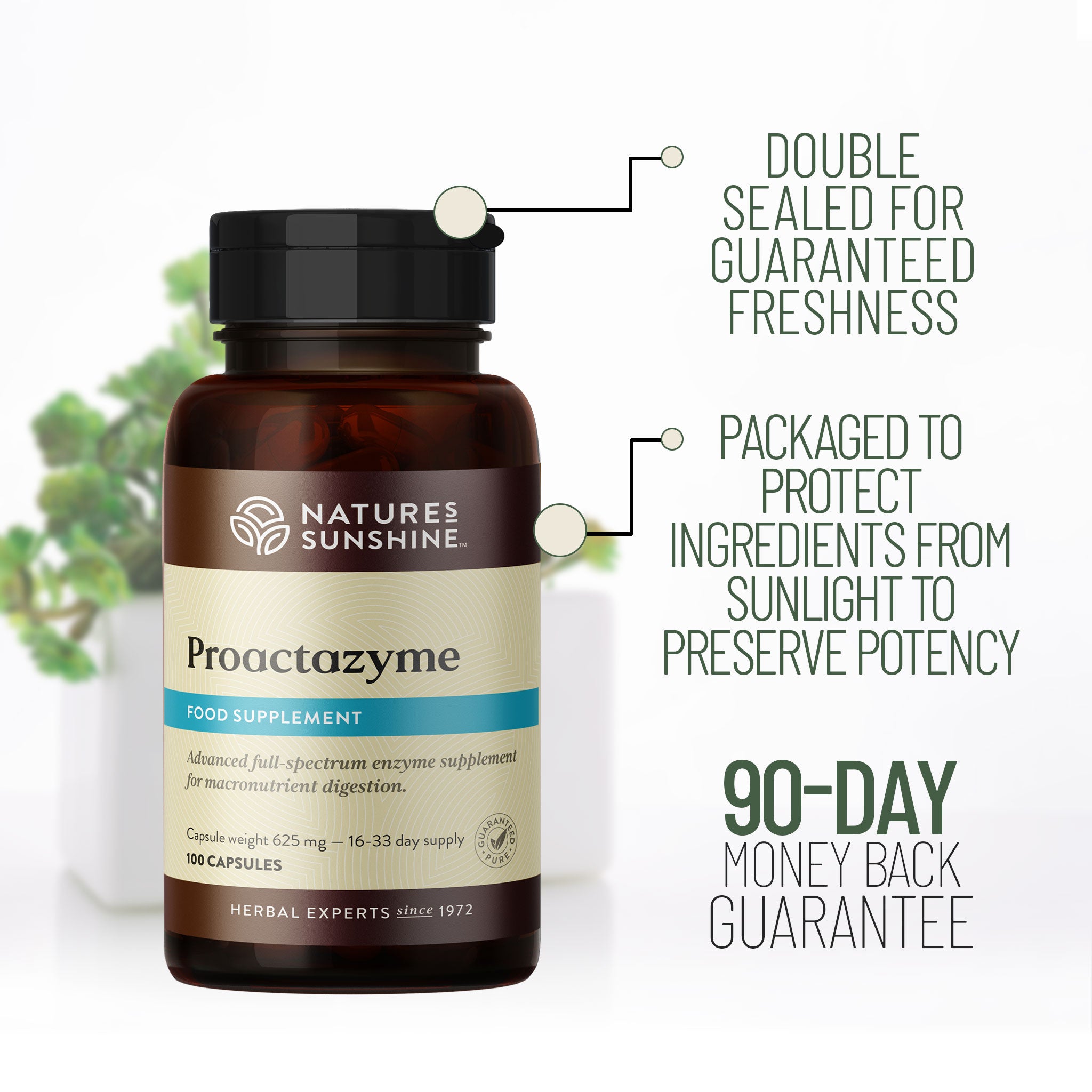 Proactazyme