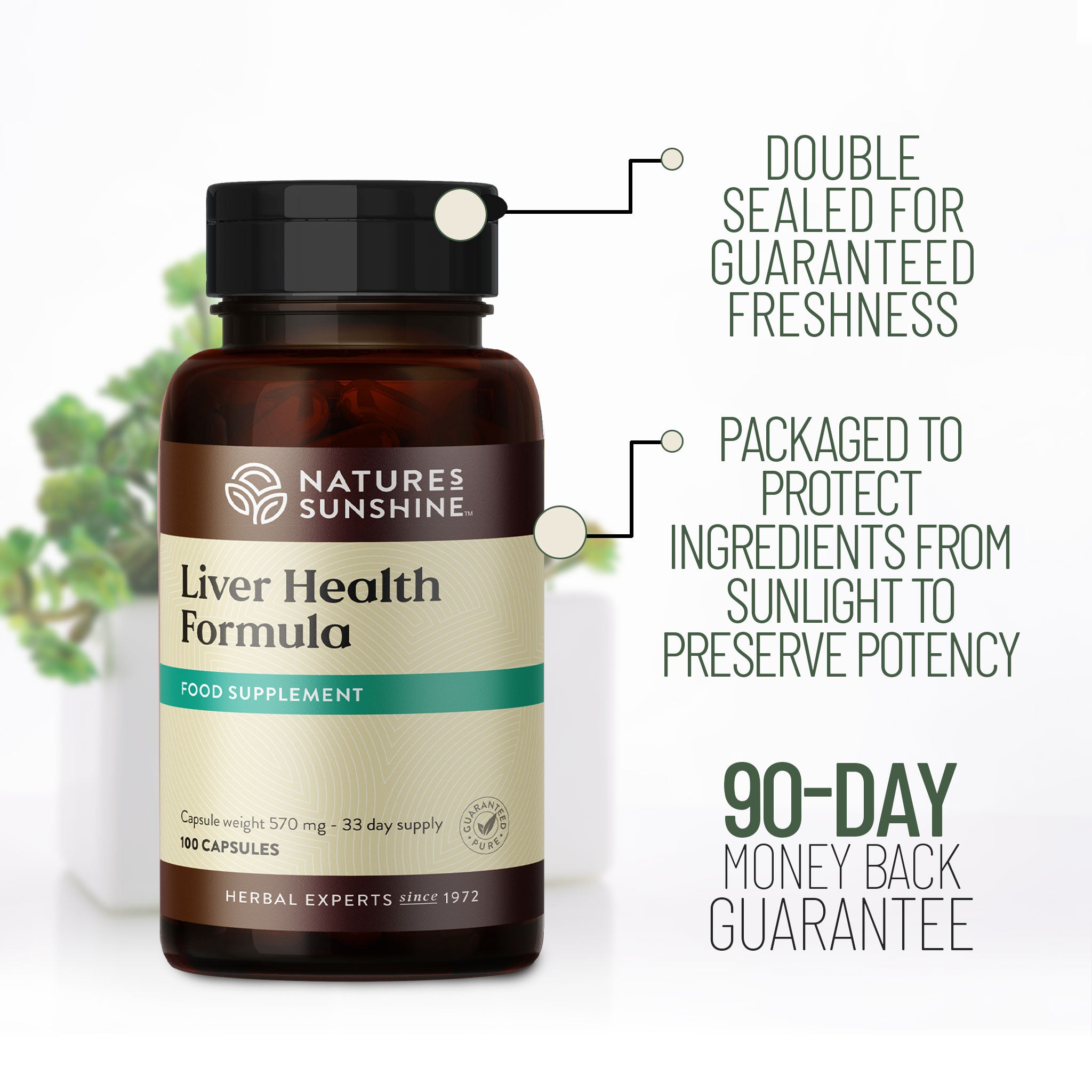 Liver Health Formula