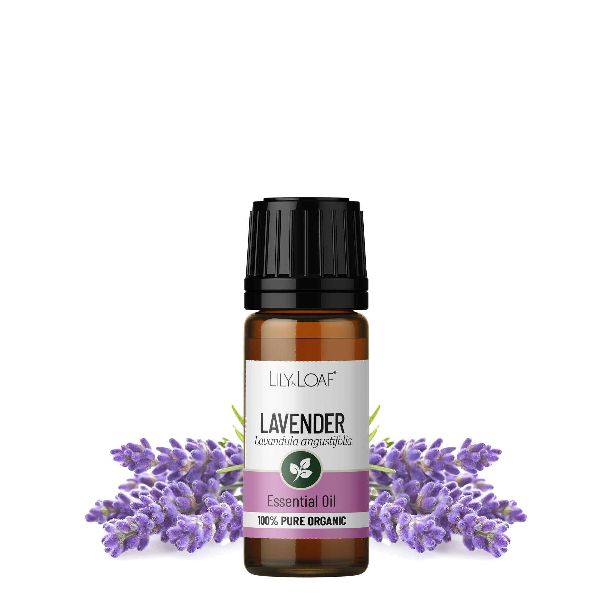 Lavender Organic Essential Oil