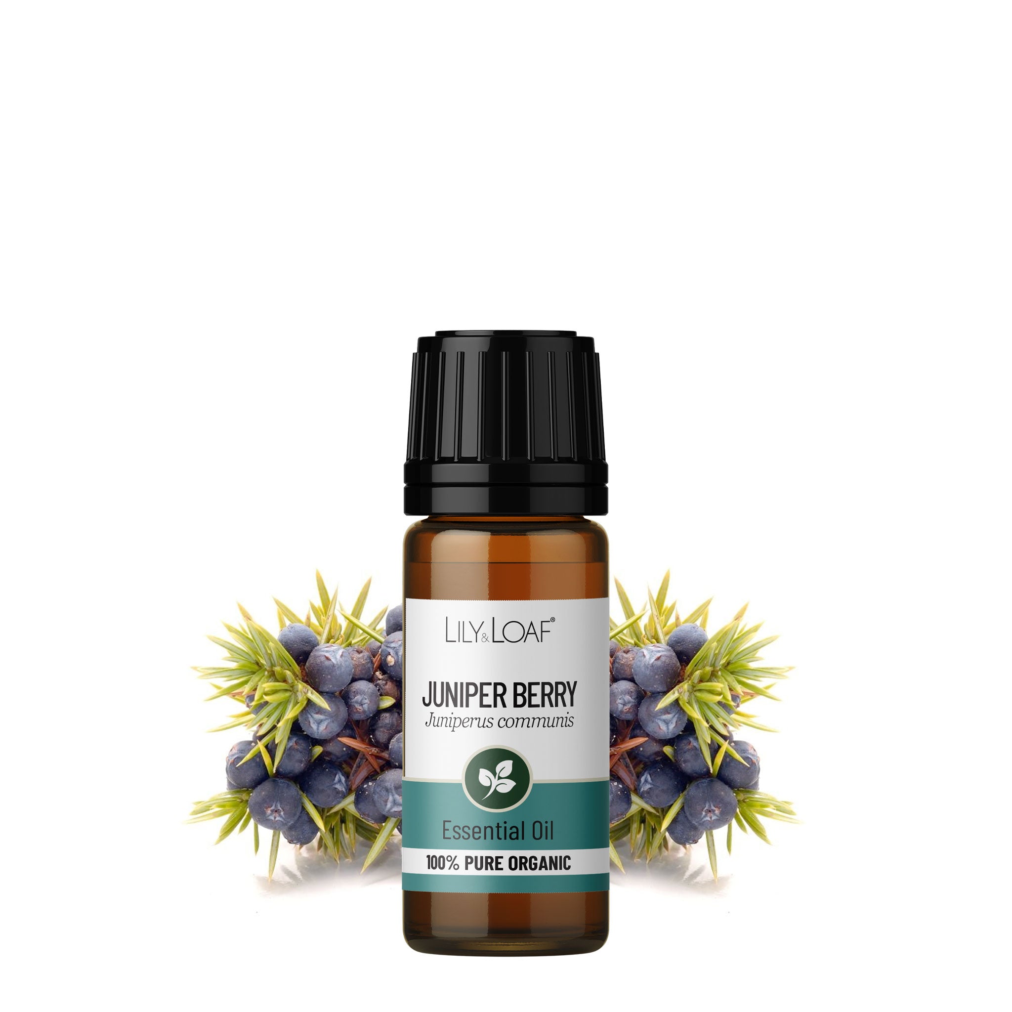 Juniper Berry Organic Essential Oil