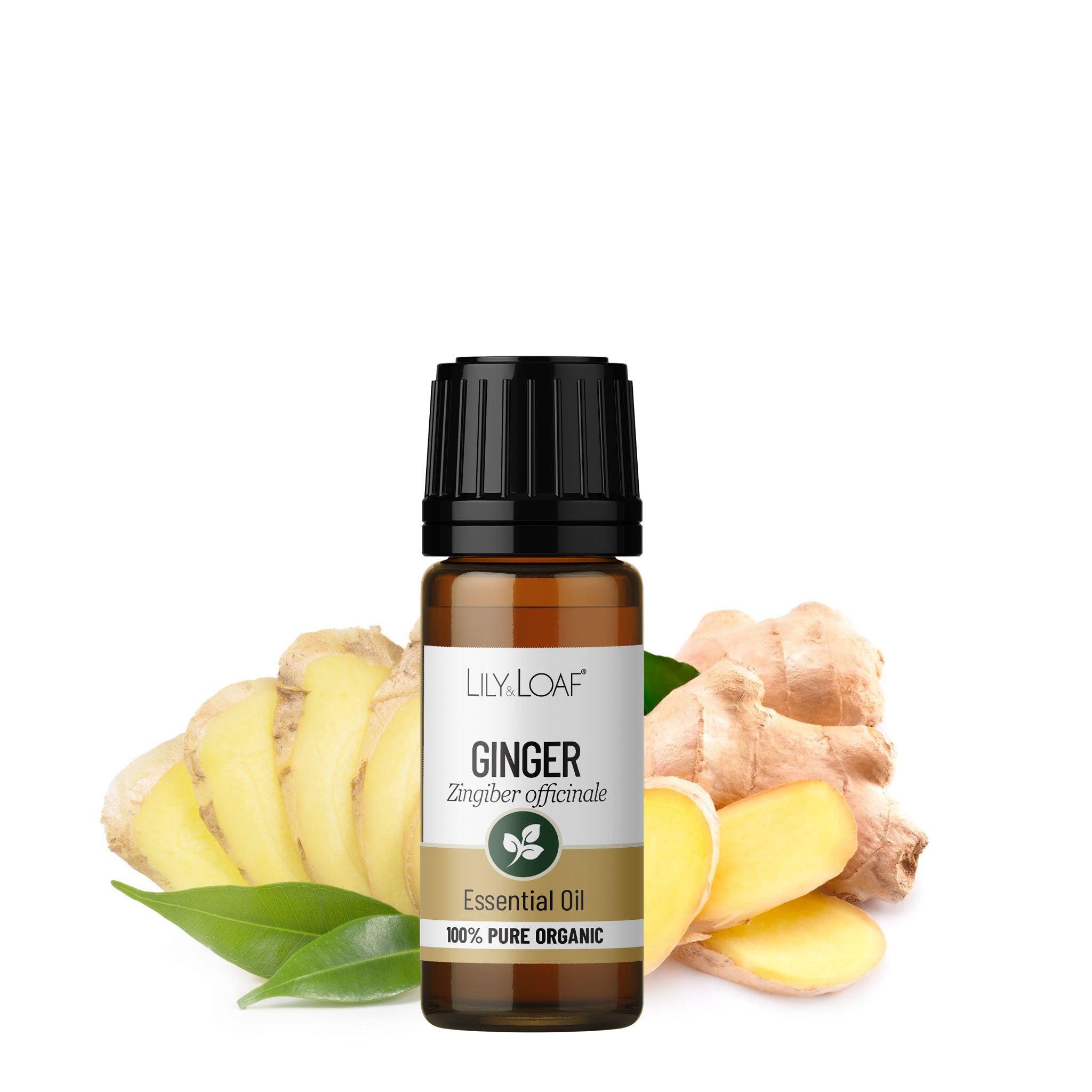 Ginger Organic Essential Oil