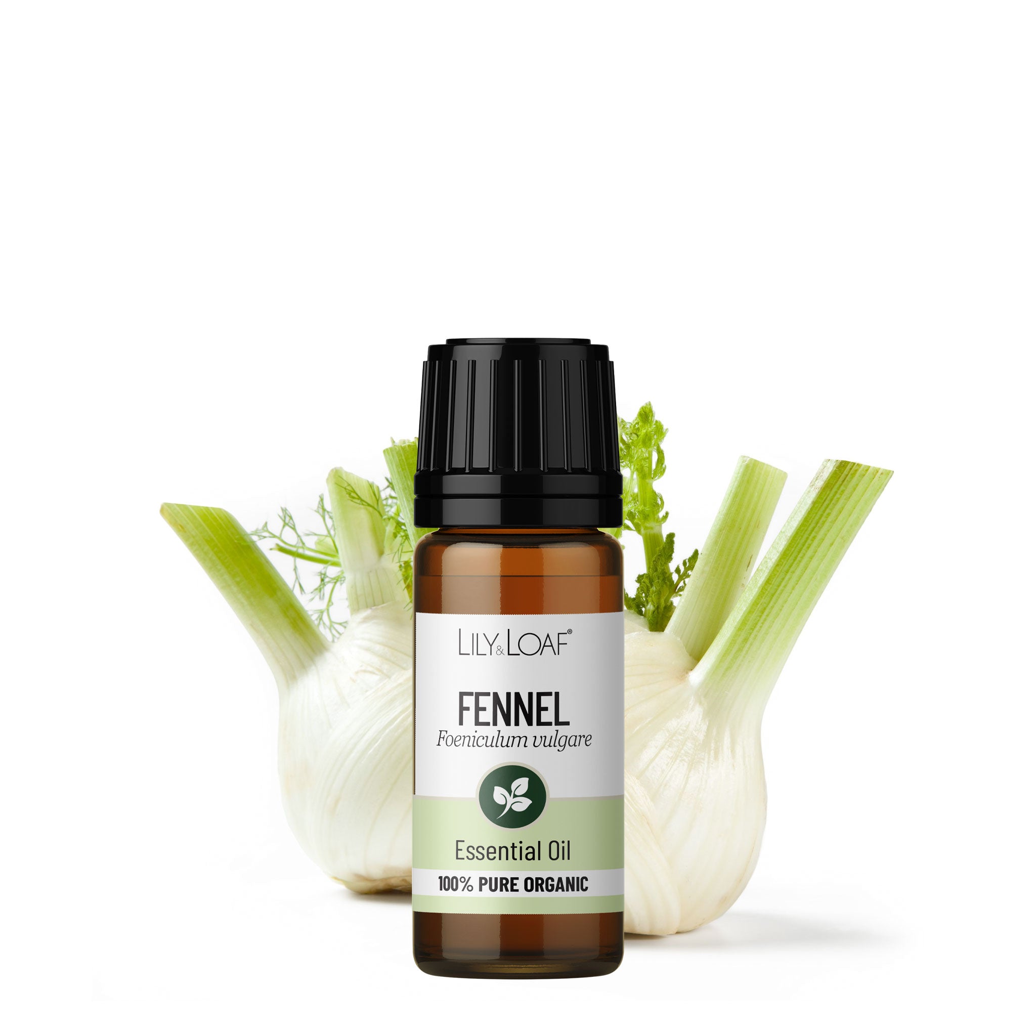 Fennel Organic Essential Oil