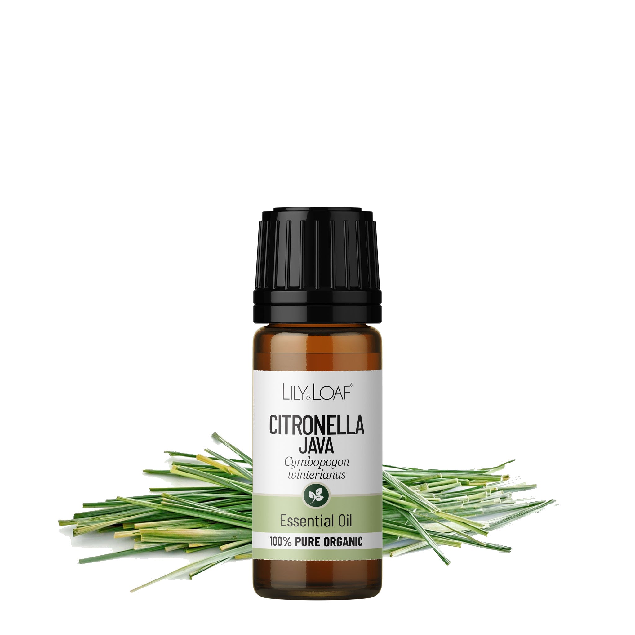 Citronella Organic Essential Oil