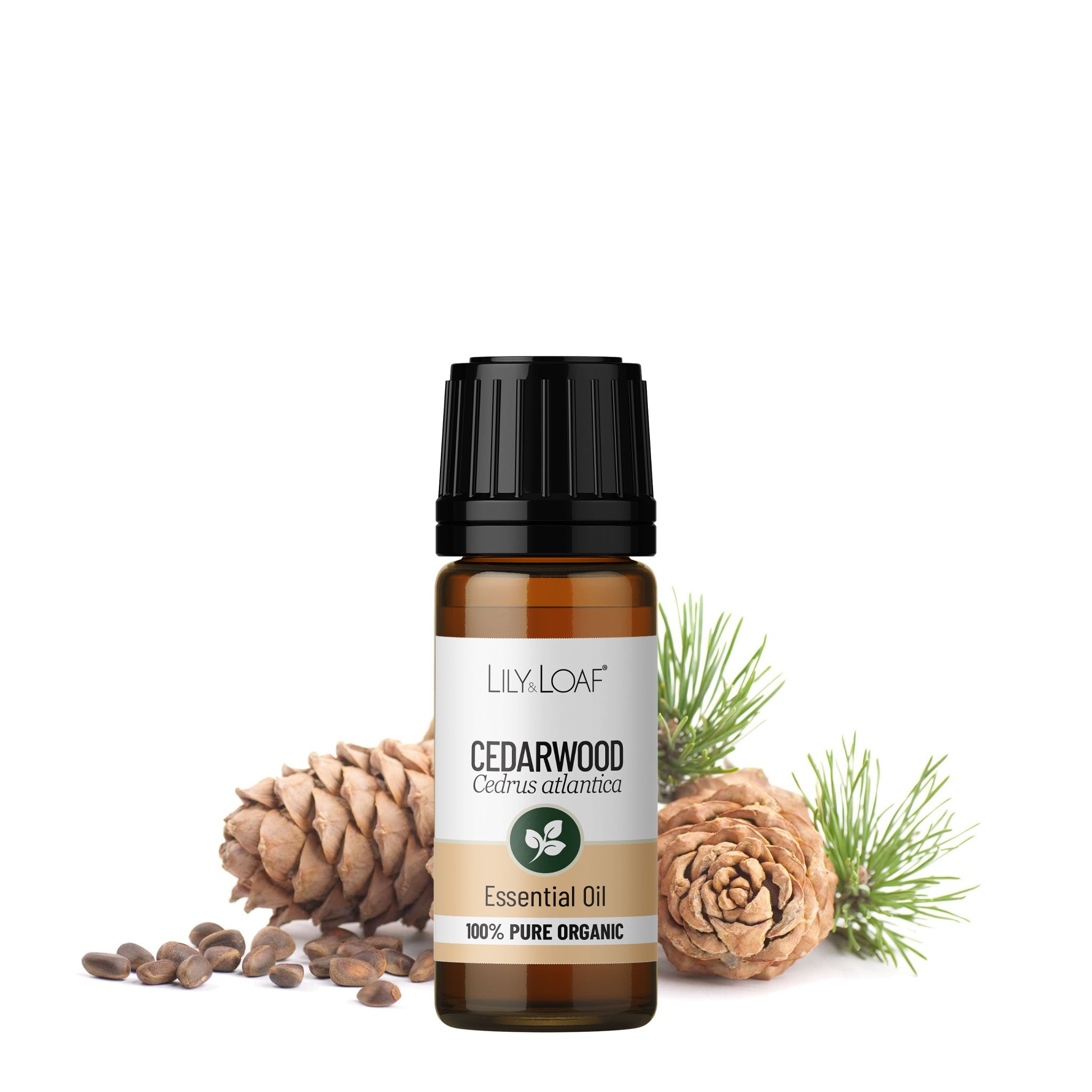 Cedarwood Atlas Organic Essential Oil