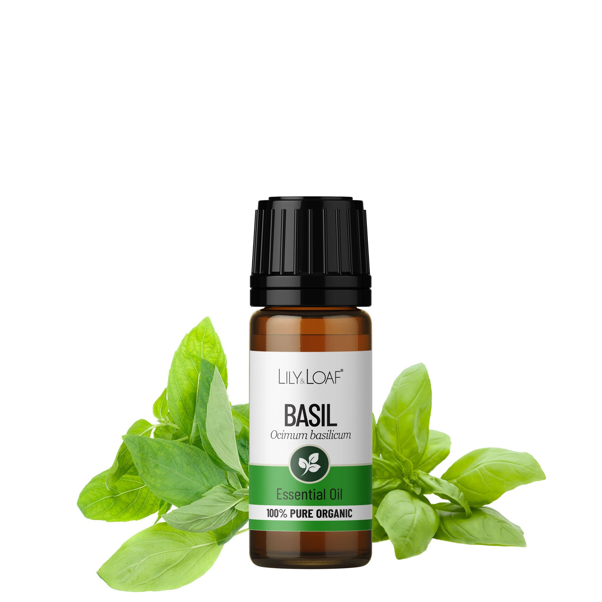 Basil Organic Essential Oil